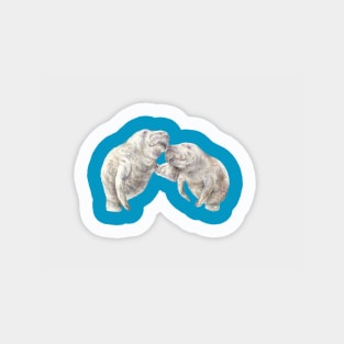 Manatee love Sticker